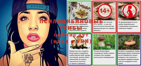 прущая мука Армянск