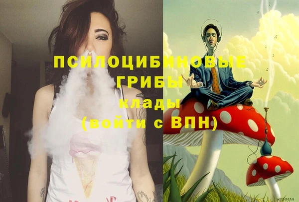 мяу мяу мука Арсеньев