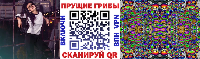 Галлюциногенные грибы GOLDEN TEACHER Находка