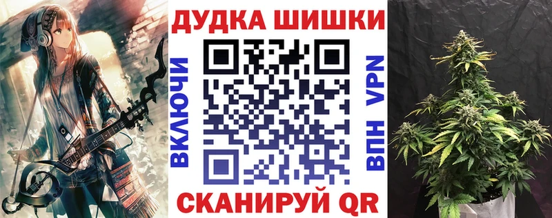 купить закладку  ссылка на мегу как войти  Конопля сатива  Находка 